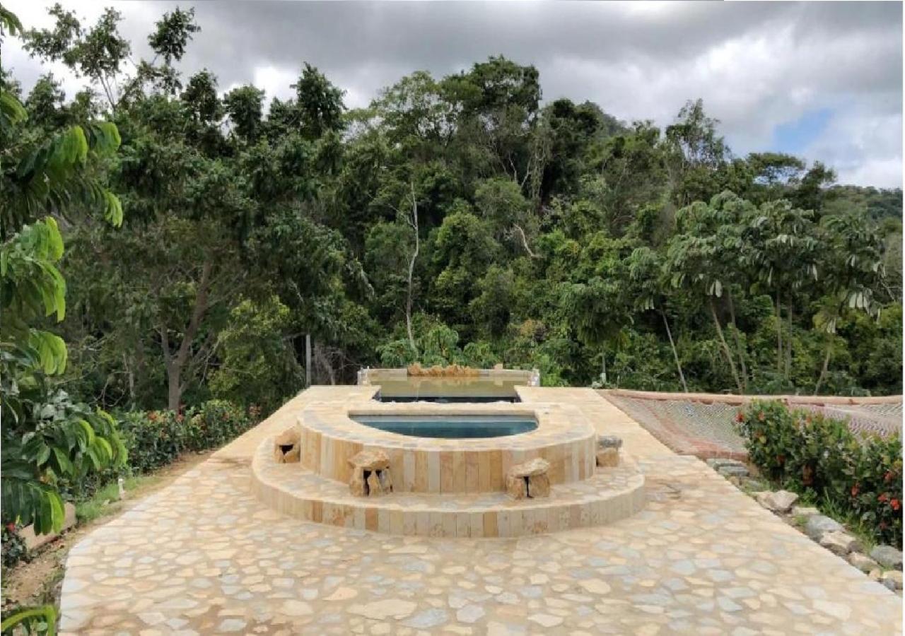 Moon Wind Tayrona Hostel El Zaino Eksteriør bilde