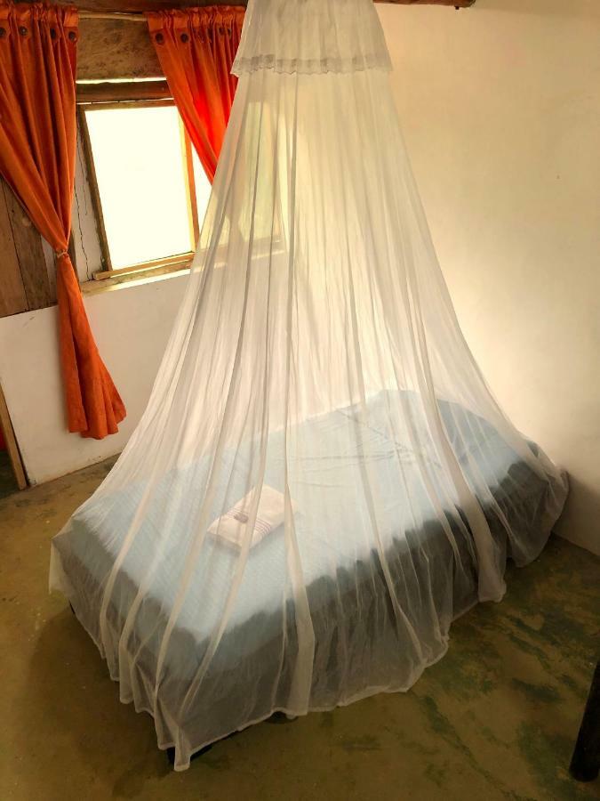 Moon Wind Tayrona Hostel El Zaino Eksteriør bilde